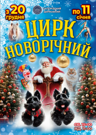 Цирк новорічний!