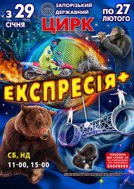 Цирк "Экспрессия +"