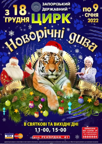 Цирк "Новогодние чудеса" Цирк "Новогодние чудеса"
