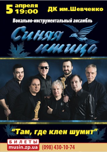 Группа "Синяя-Птица" Группа "Синяя-Птица"